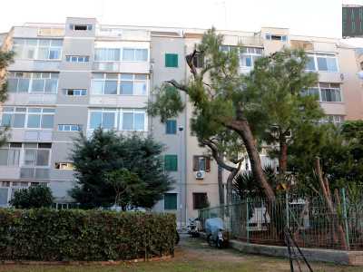 Raggiungiamo ora il quartiere Poggiofranco, l� dove sorge il secondo complesso �alternativo�: � situato tra le vie Giovanni Modugno, Concilio Vaticano II, Papa Benedetto XIII e Saverio Lioce